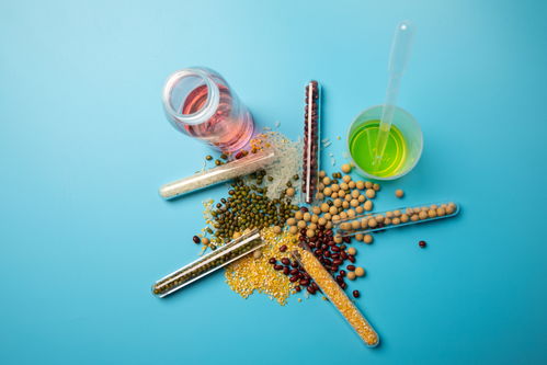 五谷食品安全農業科技食品培育攝影圖 插畫 下載至來源處